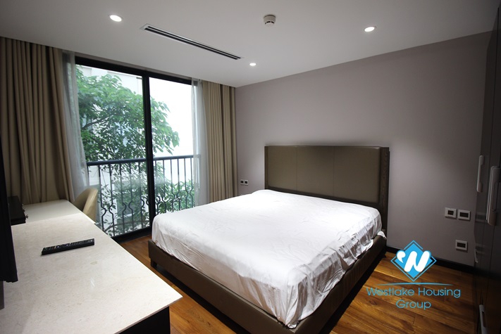 Luxurious and trendy aparment for rent in Hai Ba Trung, Ha Noi
